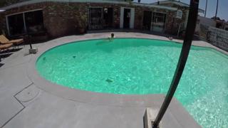 Blasian bombshell Gigi Breeze goes down, gets blown, on poolside cam