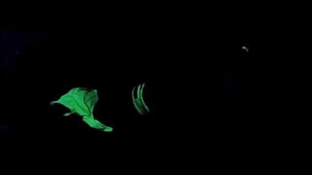 Dayanara Black Light Sex POV 2