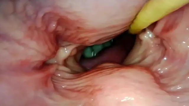 INTIMATE PIVOT VIEW PENIS🌭 INSIDE AS I EMPTY INTO HER