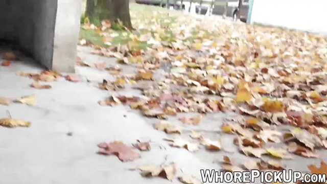 Euro street lady pounded and filmed by happy customer