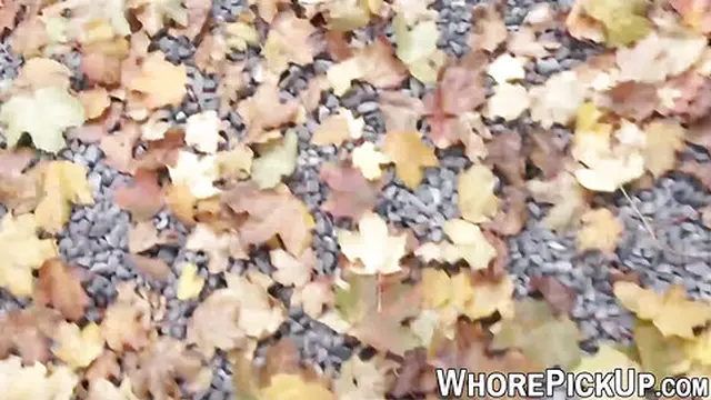 Euro street slut taken and fucked doggystyle outside