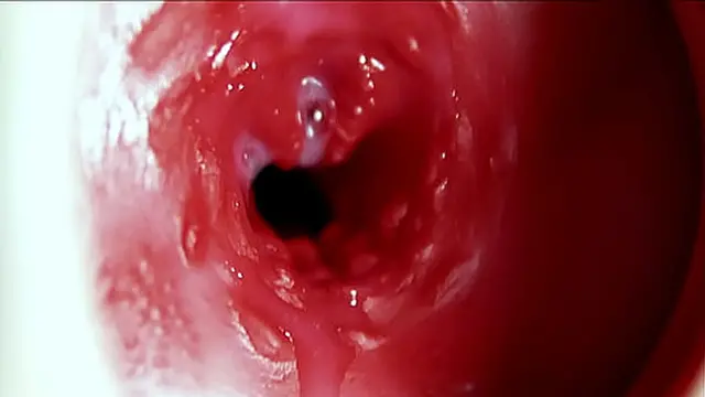 Deep creampie and loud moans &mdash;  intense climax🚀 with plenty of cum!