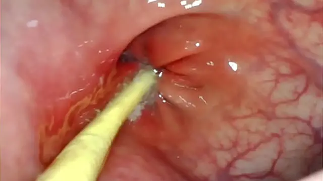 Deep thrusts inside her as my big cock🍆 fills her hole with cum