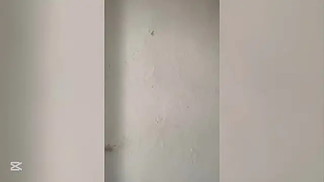 A colleague over 18 years old in her room after bathing