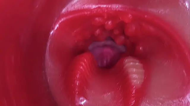 Deep Throat Action  Ultra HD  Internal Focus