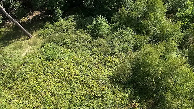 Big Ass🍑 Girl accepts cock🌭 in public - bold and risky sexual encounter