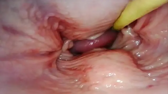 HOT INTERNAL POV  CAMERA INSIDE HER PUSSY WHILE I FILL HER WITH CUM