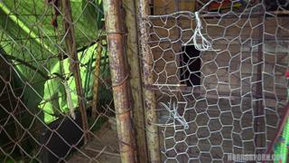 Unbridled Freaks: Wild Beasts' Desires in Carnal Caress